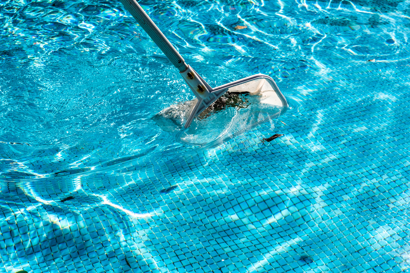 Cleaning Swimming Pool with Pool Net